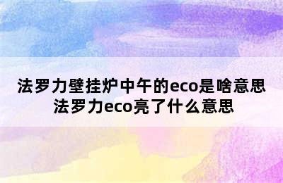 法罗力壁挂炉中午的eco是啥意思 法罗力eco亮了什么意思